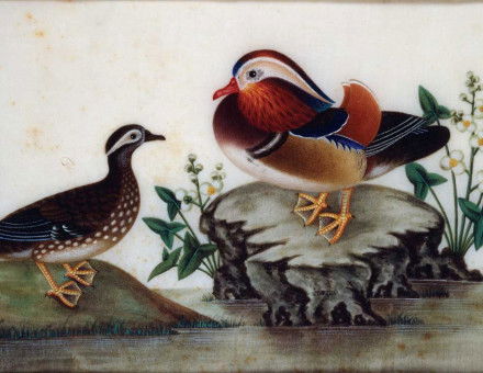 Ducks and Flowering Water Plants by a Pond, pith paper painting by Sunqua, c.1820.