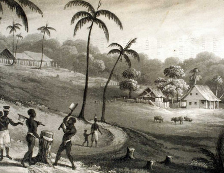 Timber Estate, British Guiana