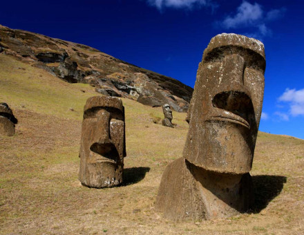 Moai at Rano Raraku. Travelling Otter/Wiki Commons.
