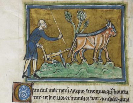A man ploughing with oxen from the Rochester Bestiary, c.1250-1350.