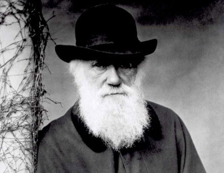 Charles Darwin, 1881.