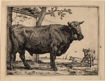 The Bull, etching by Paulus Potter, Dutch, 1650