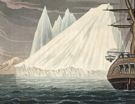 ‘A bear a bear plunging into the sea’, illustration from A Voyage of discovery ... inquiring into the probability of a North-West Passage, by John Ross, 1819.  The Stapleton Collection/Bridgeman