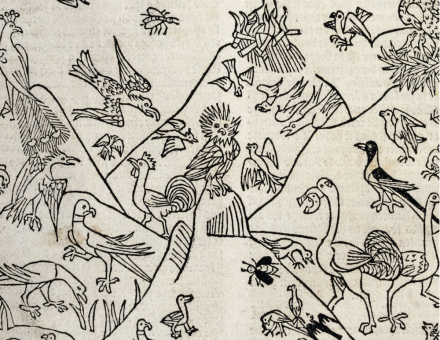 Birdlore: ‘De avibus’ (On Birds), from De proprietatibus rerum (On the Properties of Things), by Bartholomaeus Anglicus, 1240.