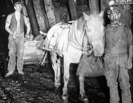 Miners and a pit pony, Baldwin’s Clog and Legging Mine, South Wales, c.1910. Chronicle/Alamy Stock Photo.
