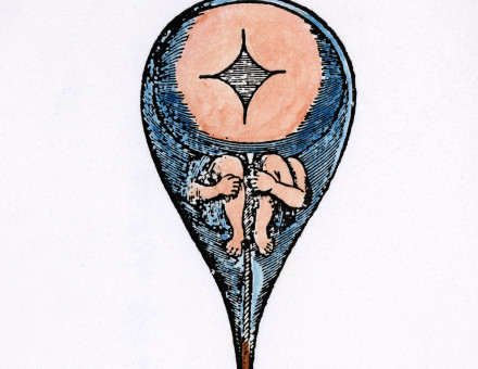 A homunculus inside human sperm, from Niklass Hartsoeker’s ‘Essay de Dioptrique’, 17th century. Granger/Bridgeman Images.