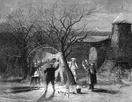 Wassailing apple trees with hot cider on Twelfth Eve, 1861. Chronicle/Alamy Stock Photo.