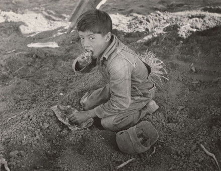 young Mexican agricultural worker eats a tortilla in a field near Santa Monica, Texas, 1939. New York Public Library. Public Domain.