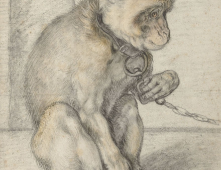‘A Seated Monkey on a Chain’, Hendrick Goltzius, 1592-1602. Rijksmuseum, Amsterdam. Public Domain.