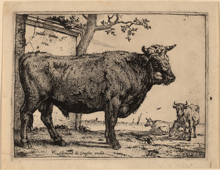 The Bull, etching by Paulus Potter, Dutch, 1650. Album / Alamy Stock Photo