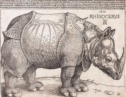 Rhinos.jpg