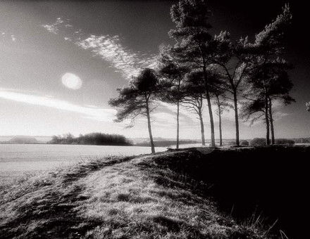 Profound but intangible: Scutchamer Knob on the Ridgeway Path of the Berkshire Downs.