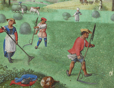 Time stands still: haymaking in July, from the Book of Hours, France, 1510-25.