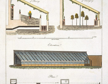 A design for a pinery and orangery at Teddington, Middlesex, 1806. 