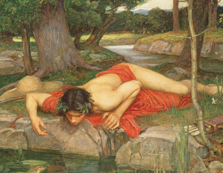 narcissus_cont.jpg