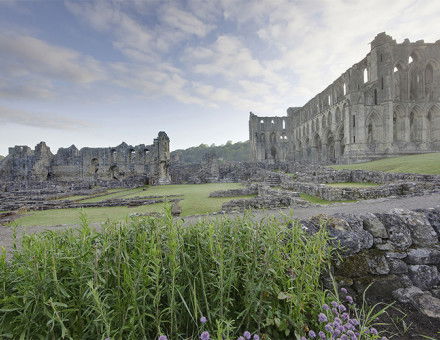 The ruins of Rievaulx Abbey on the River Rye in North Yorkshire by WyrdLight.com. Licensed under CC BY-SA 3.0 via Wikimedia Commons.