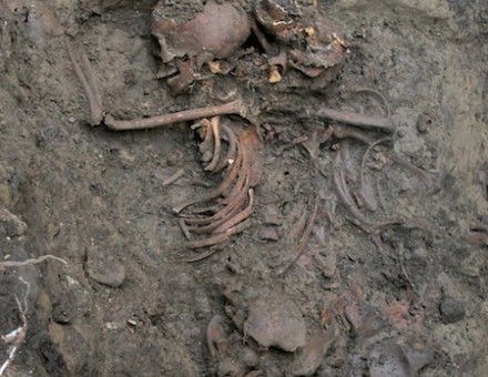 The uppermost skeletons in the larger of the two mass graves, at the north-east side of the site. The person at the centre was laid on his right side on top of another individual. Credit Richard Annis/Durham University