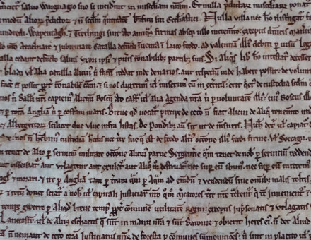 The Salisbury Magna Carta