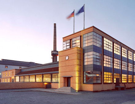 fagus.jpg