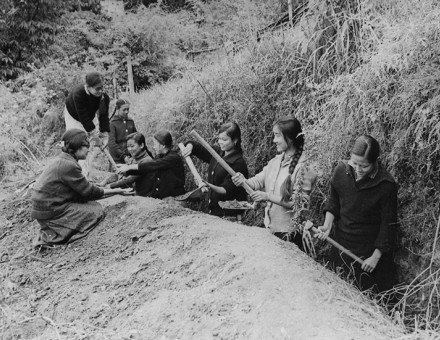 Children from the Paljor Namgyal Girls’ School dig trenches against Chinese attack, October 1965.
