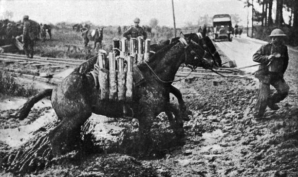 Pack horses carrying ammunition in Flanders, from 'The Horse and the War' by Captain Lionel Edwards, published by Country Life in 1918. 